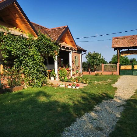 Amanet House Zasavica Apartman Kültér fotó