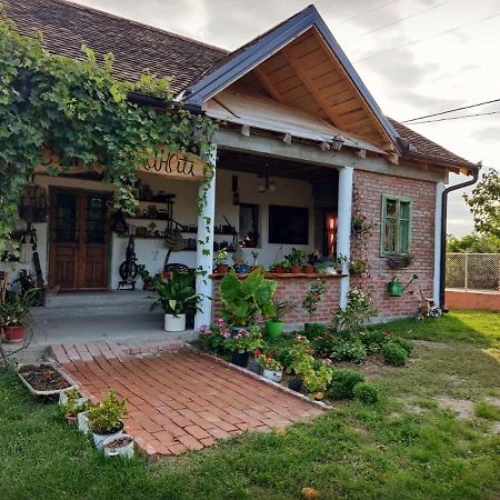 Amanet House Zasavica Apartman Kültér fotó