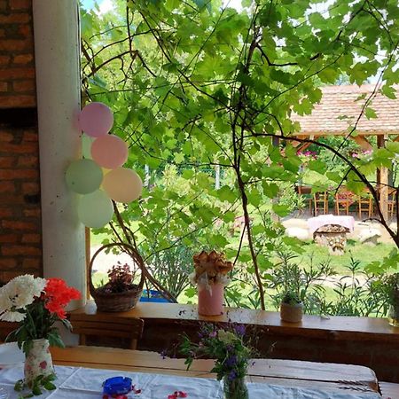 Amanet House Zasavica Apartman Kültér fotó