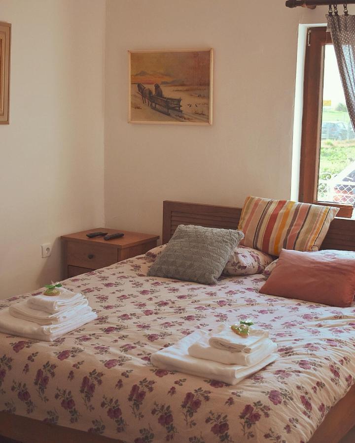 Amanet House Zasavica Apartman Kültér fotó