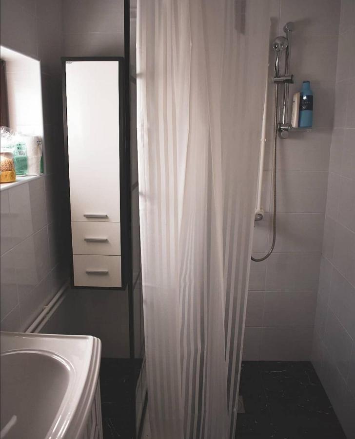 Amanet House Zasavica Apartman Kültér fotó
