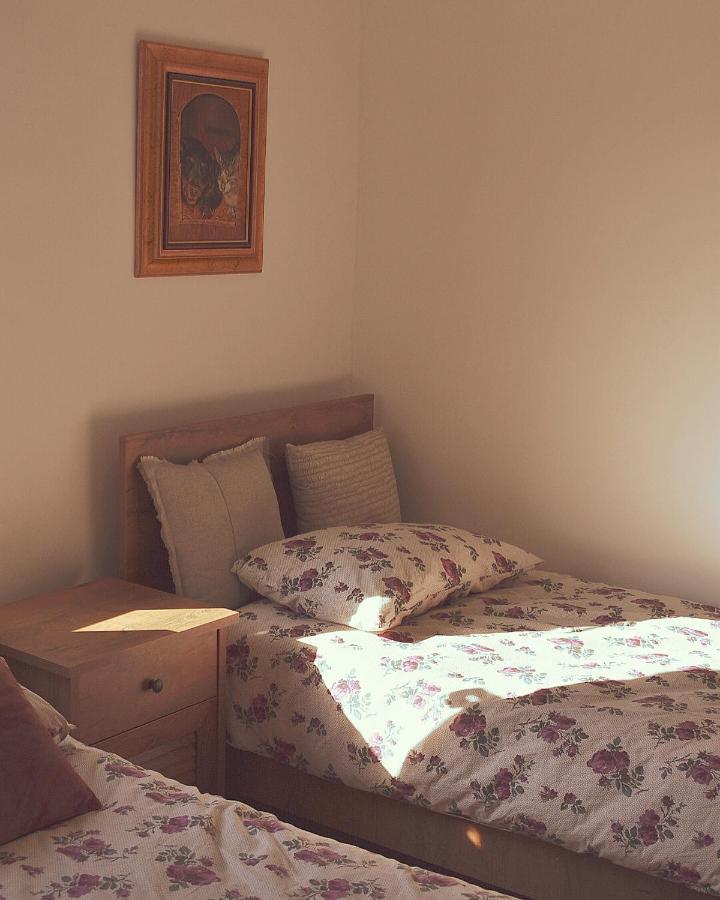 Amanet House Zasavica Apartman Kültér fotó