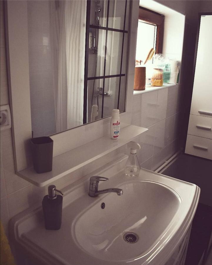 Amanet House Zasavica Apartman Kültér fotó