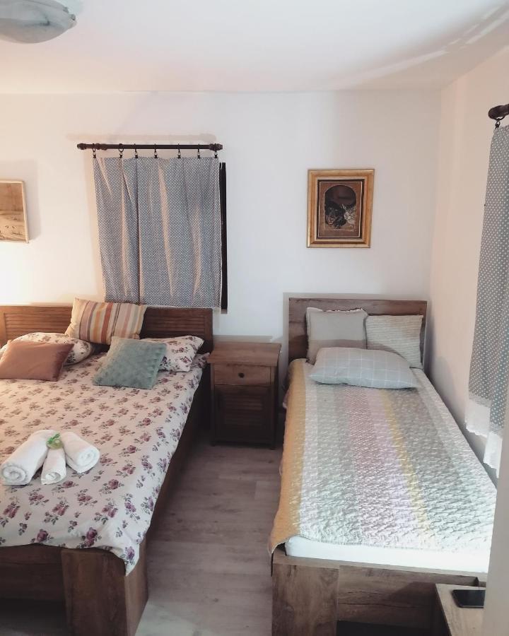 Amanet House Zasavica Apartman Kültér fotó