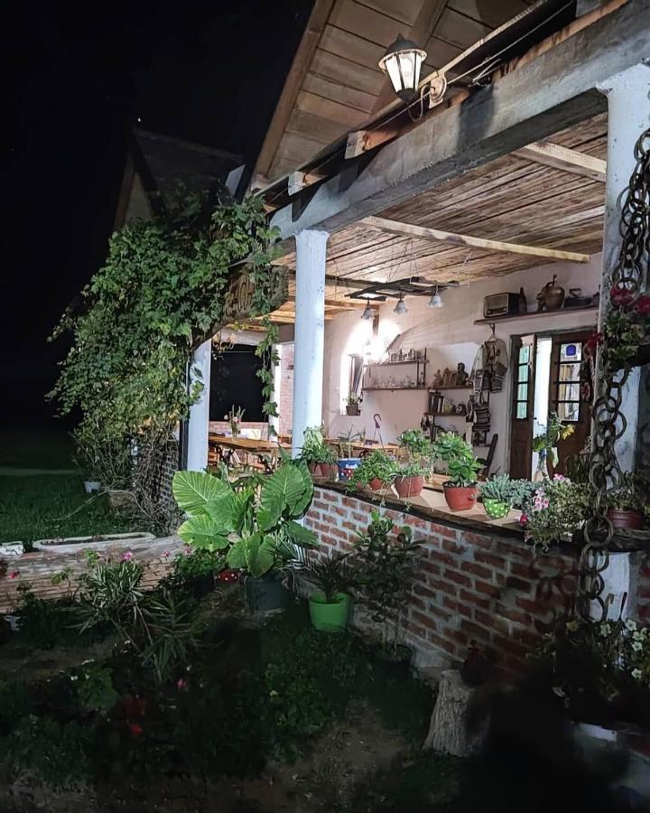 Amanet House Zasavica Apartman Kültér fotó