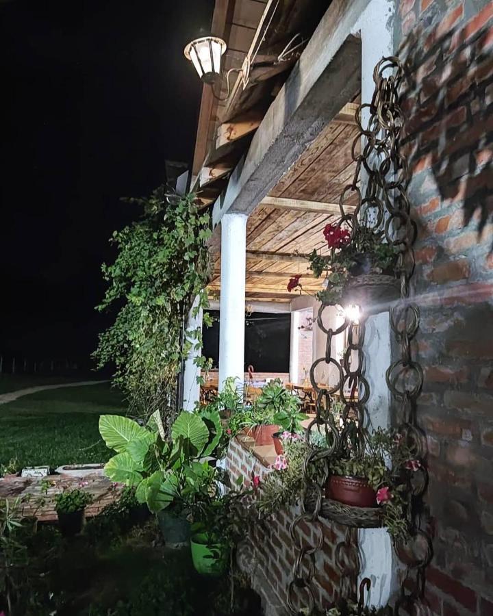 Amanet House Zasavica Apartman Kültér fotó