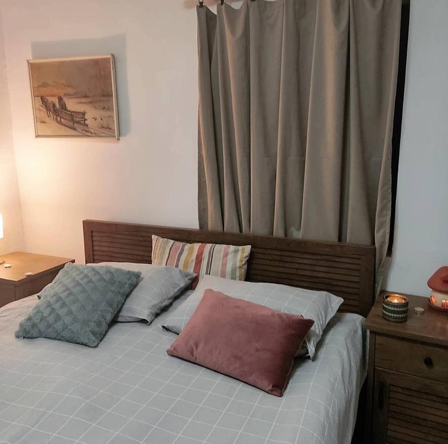 Amanet House Zasavica Apartman Kültér fotó