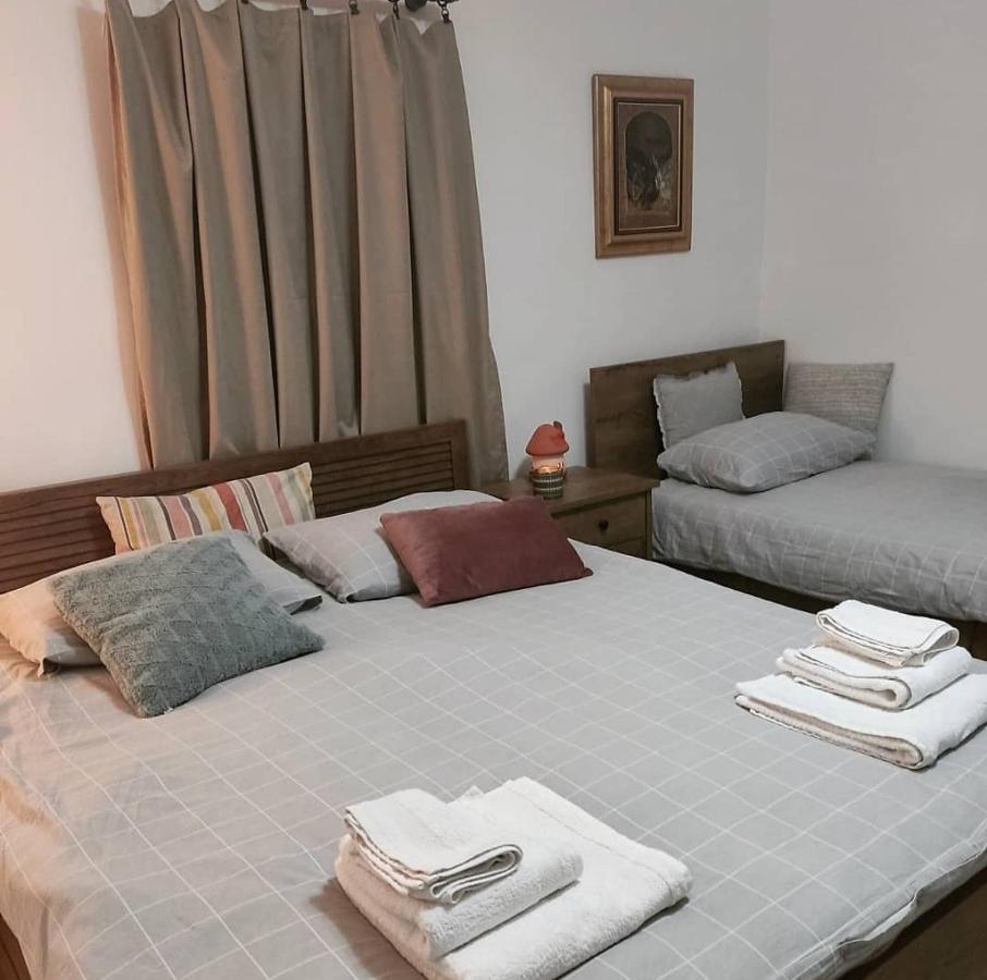 Amanet House Zasavica Apartman Kültér fotó