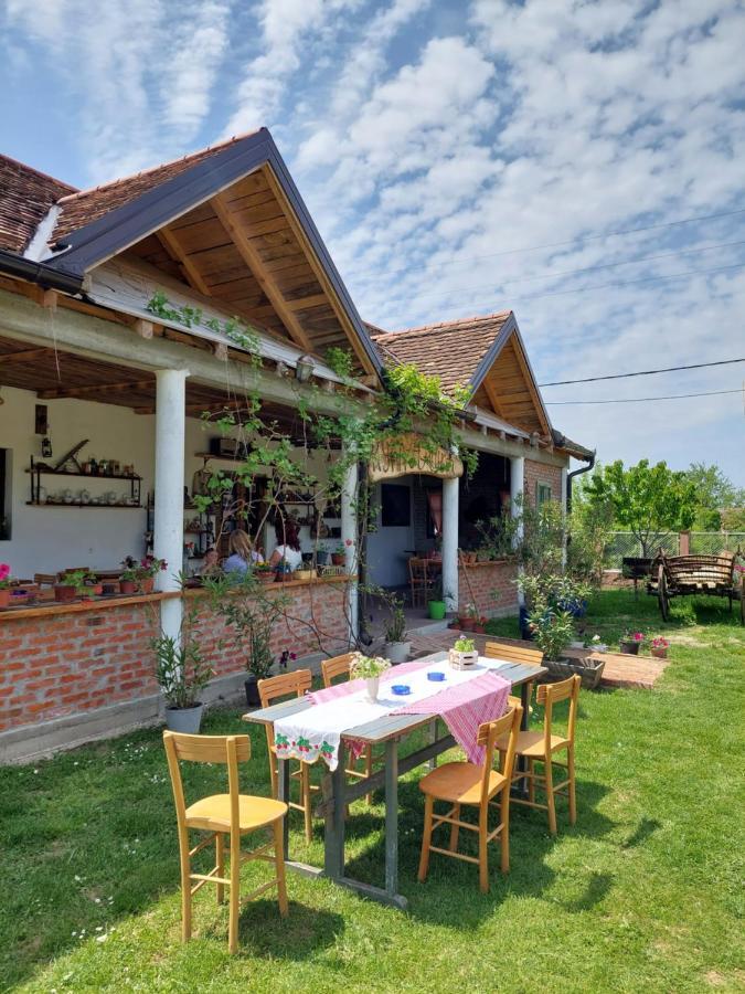 Amanet House Zasavica Apartman Kültér fotó