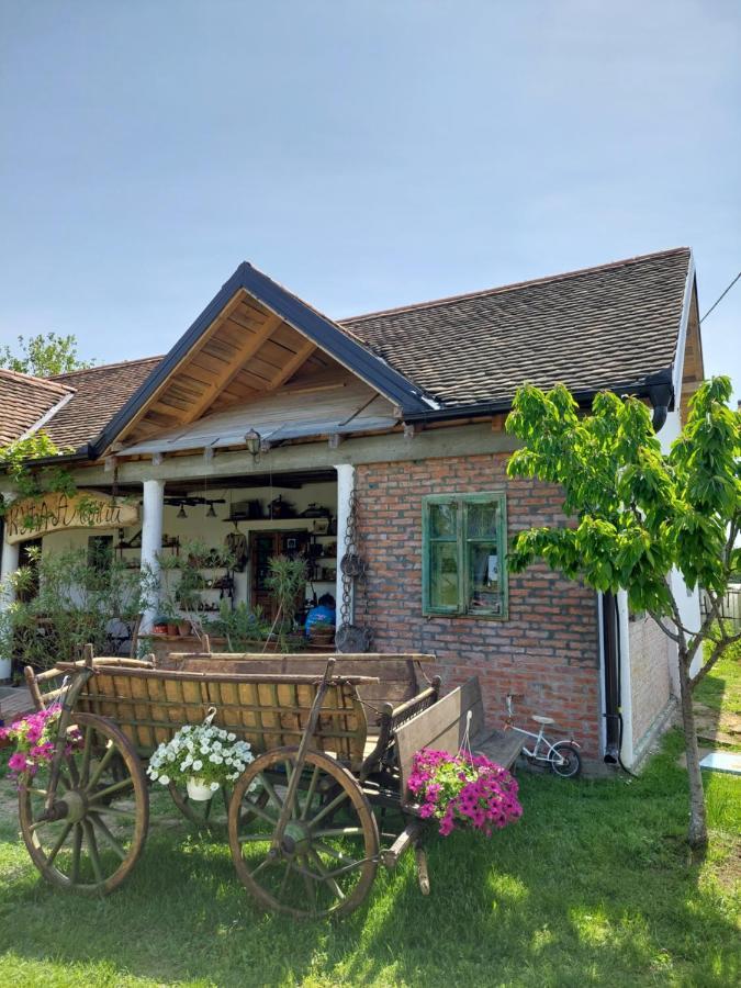 Amanet House Zasavica Apartman Kültér fotó